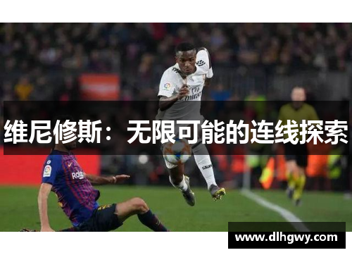 维尼修斯：无限可能的连线探索